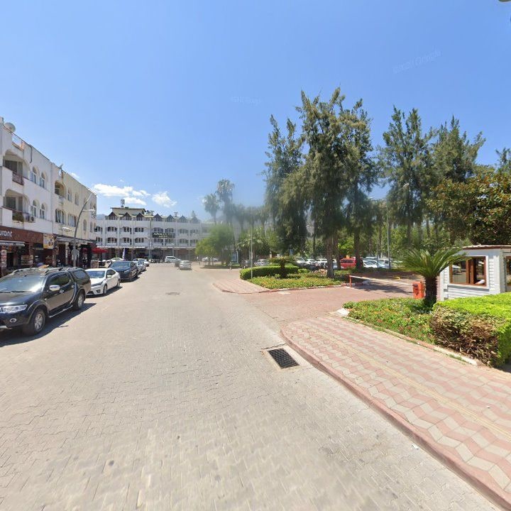 Fotoğraf 12