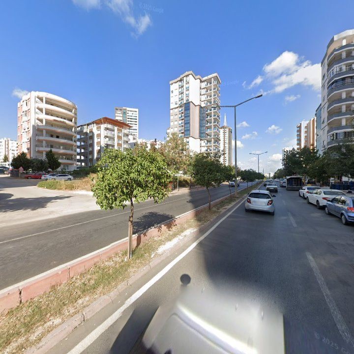 Fotoğraf 6