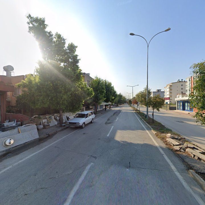 Fotoğraf 3