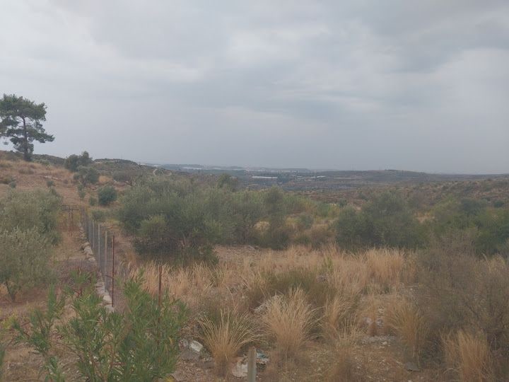 Bayraklı Bahçe Evrenleryavşı Manavgat