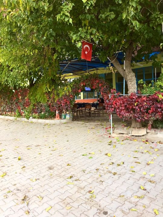 Bayraktar Kahvehanesi