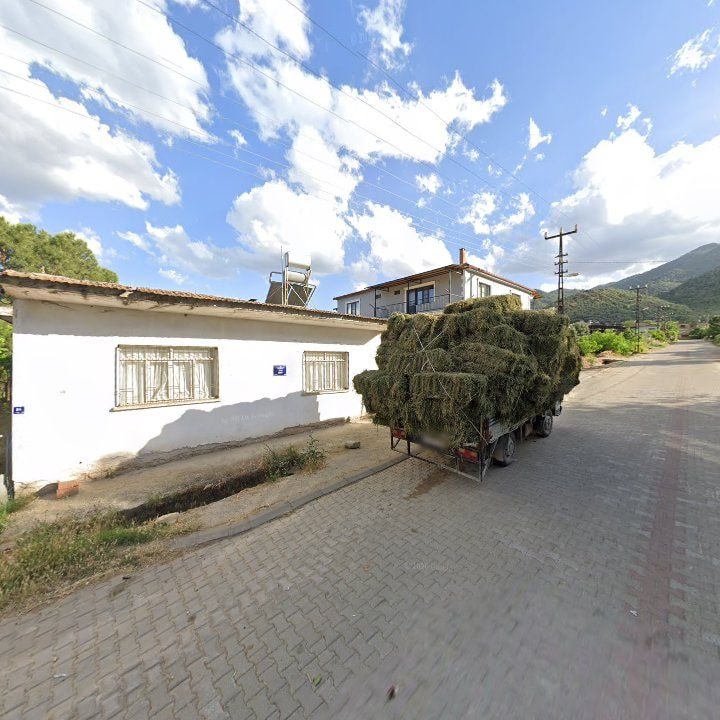 Fotoğraf 6