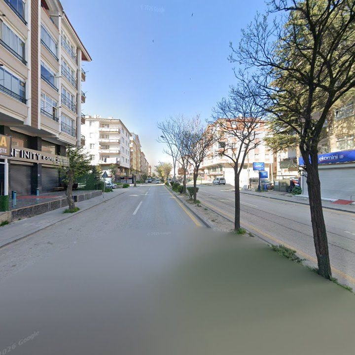 Fotoğraf 12