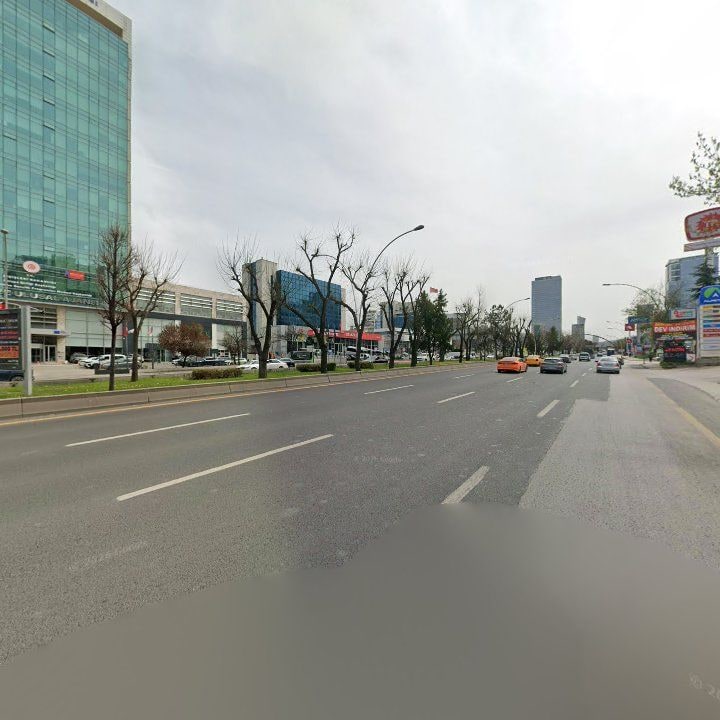Fotoğraf 15