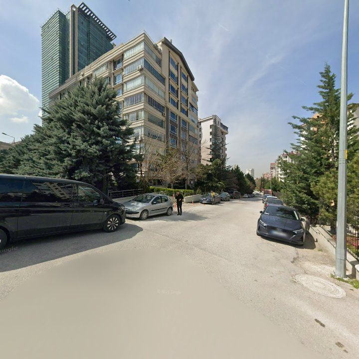 Fotoğraf 15