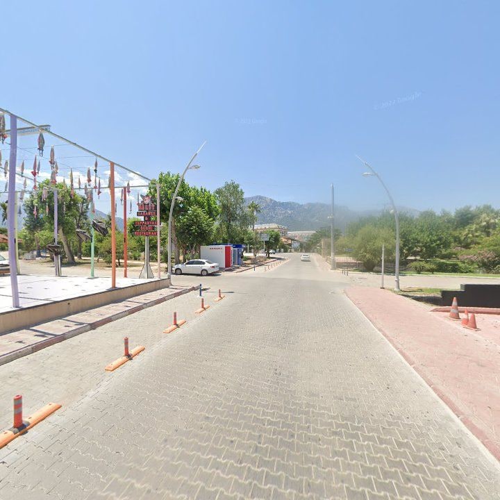 Fotoğraf 12