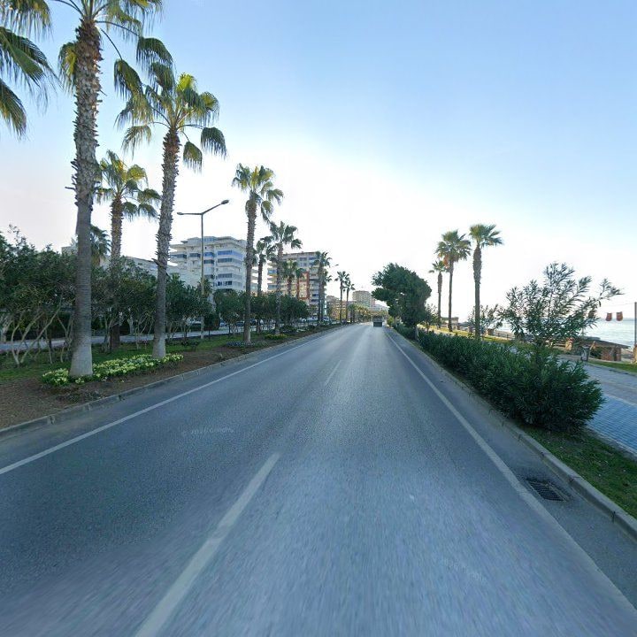Fotoğraf 10