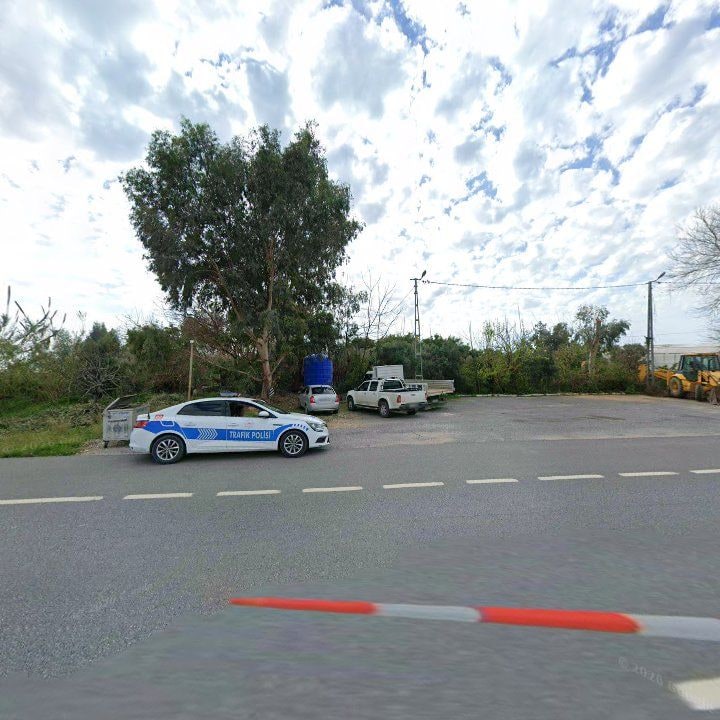 Fotoğraf 8