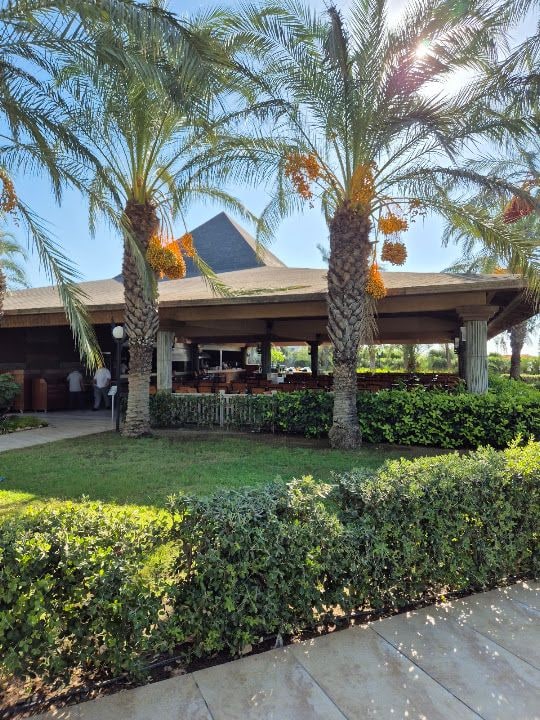 Beachbar Royal Wings Hotel