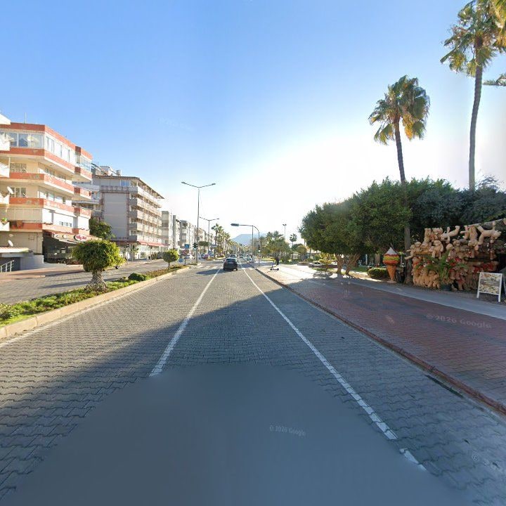 Fotoğraf 10
