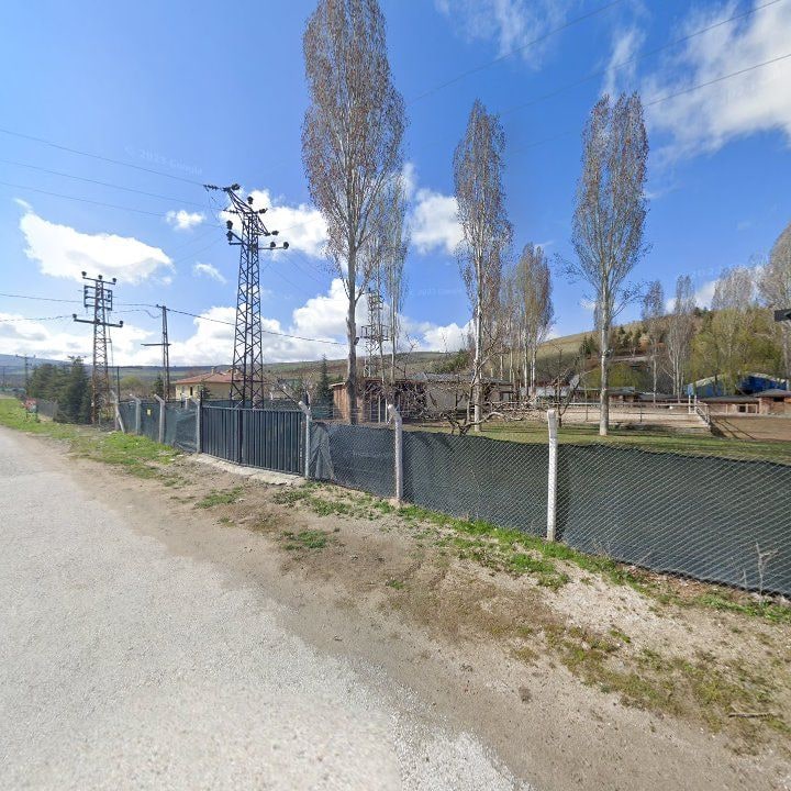 Fotoğraf 9