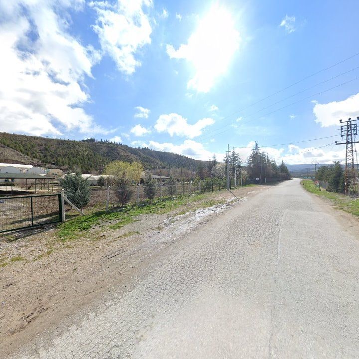 Fotoğraf 8
