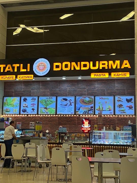 Bedir Efeoğlu