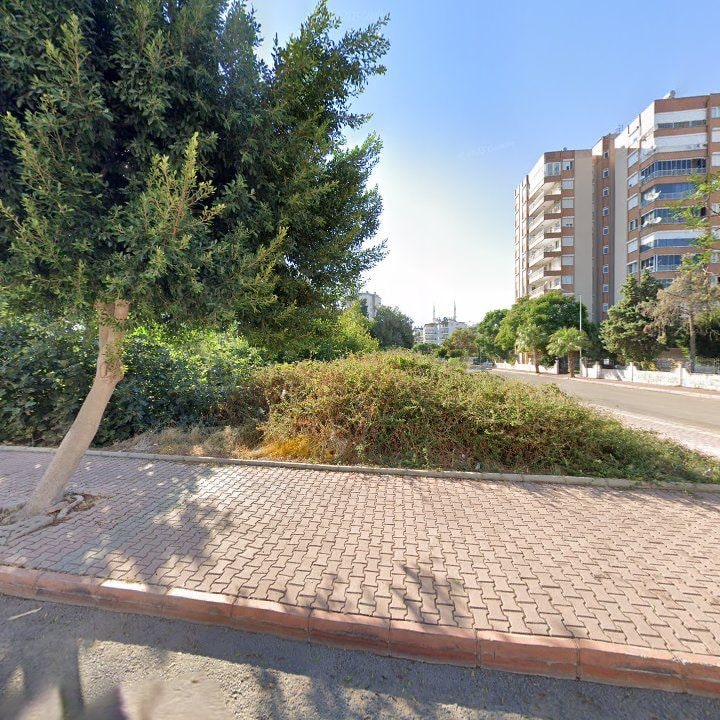 Fotoğraf 12