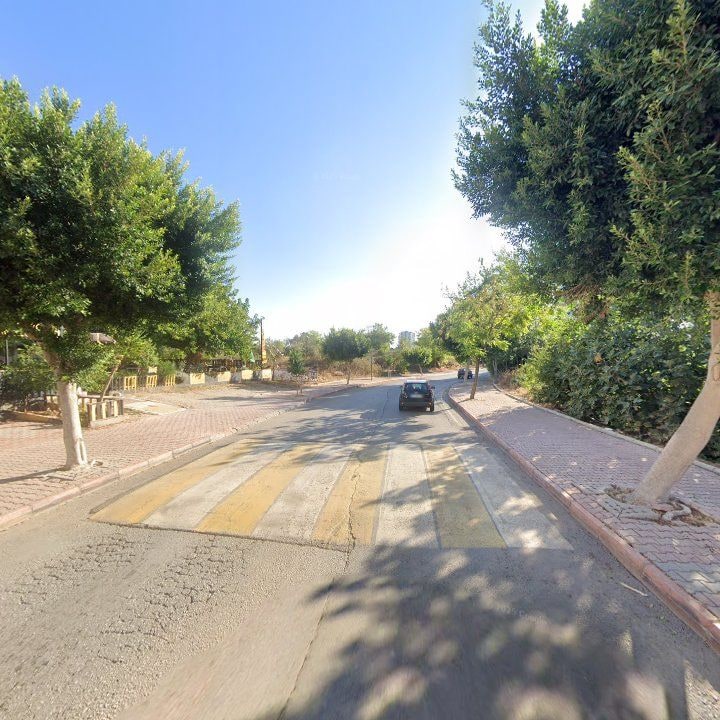 Fotoğraf 11