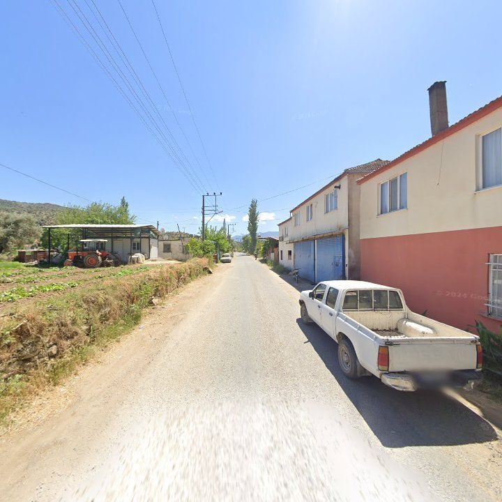 Fotoğraf 3