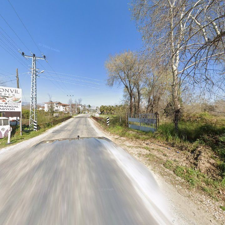Fotoğraf 7