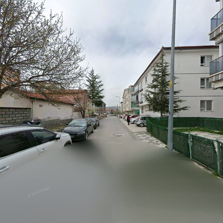 Fotoğraf 8