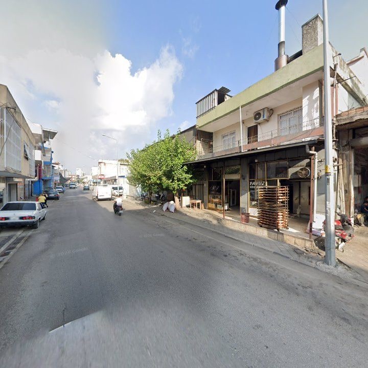 Fotoğraf 3