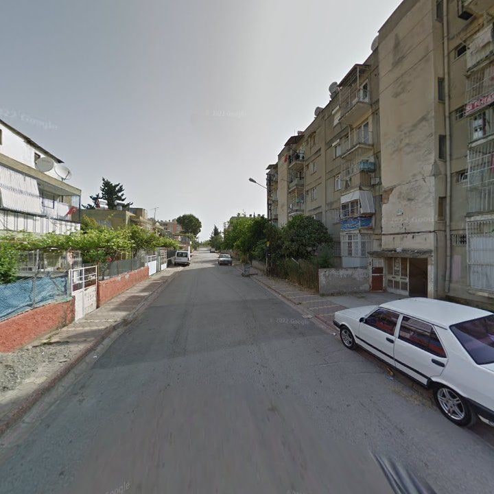 Fotoğraf 10