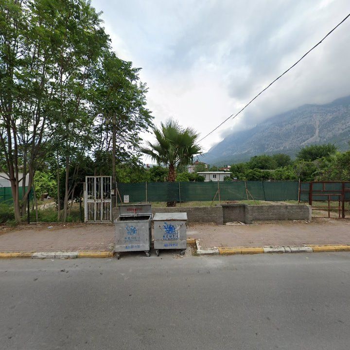 Fotoğraf 10