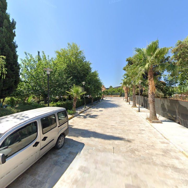 Fotoğraf 8