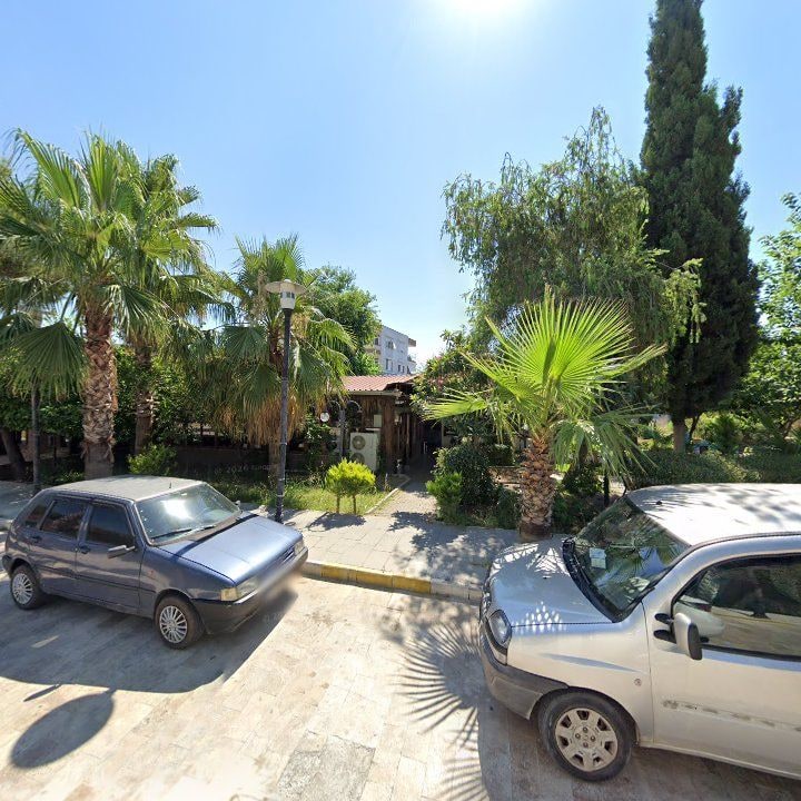 Fotoğraf 7