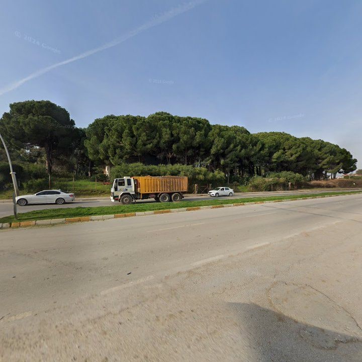 Fotoğraf 12