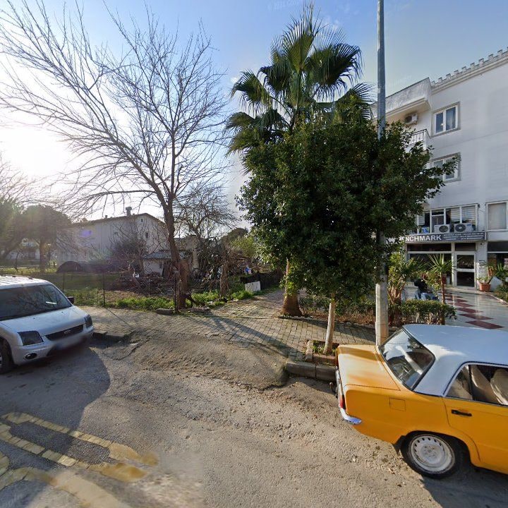 Fotoğraf 7