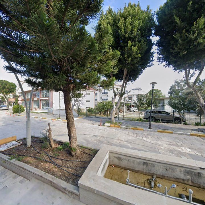 Fotoğraf 8
