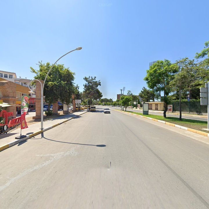 Fotoğraf 11