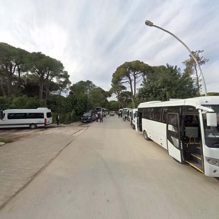 Fotoğraf 8