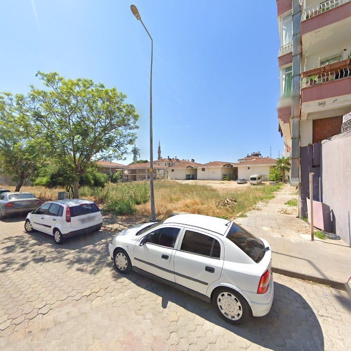 Fotoğraf 11