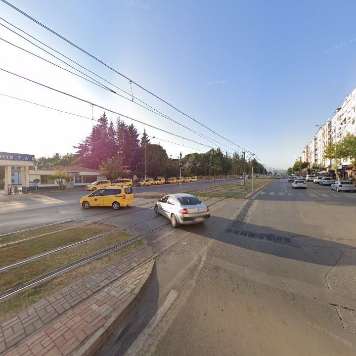 Fotoğraf 12