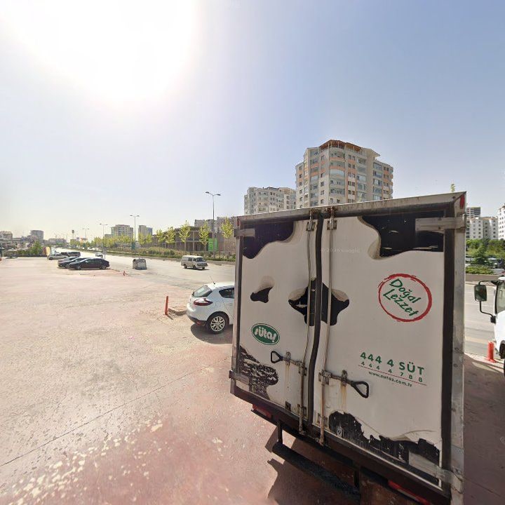Fotoğraf 9