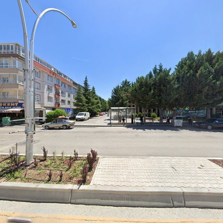 Fotoğraf 12