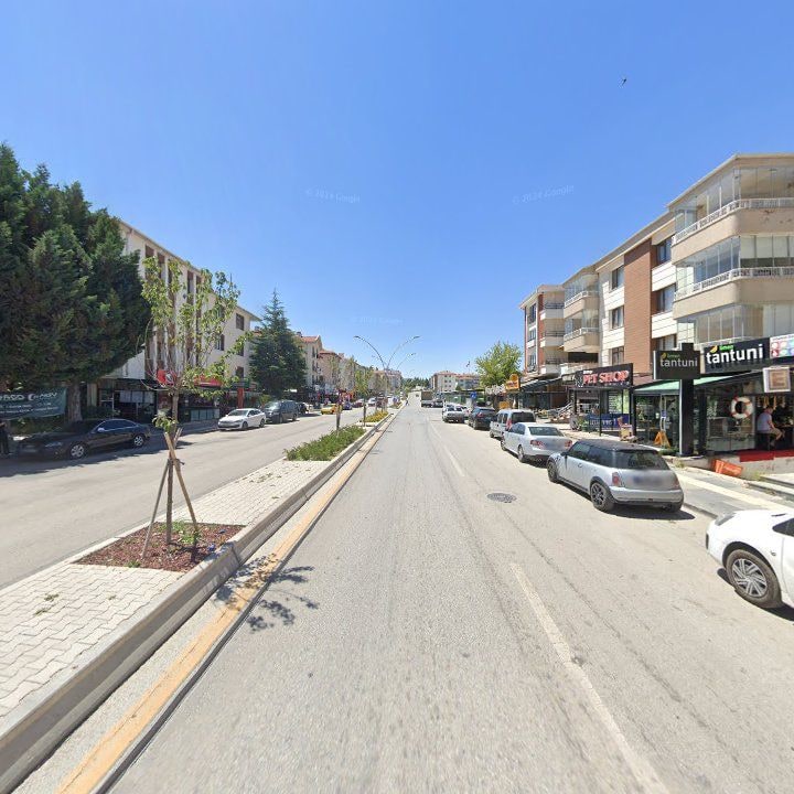 Fotoğraf 13