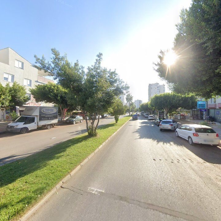 Fotoğraf 12