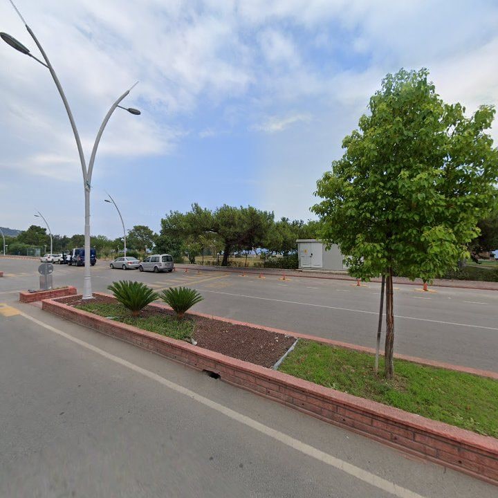 Fotoğraf 8