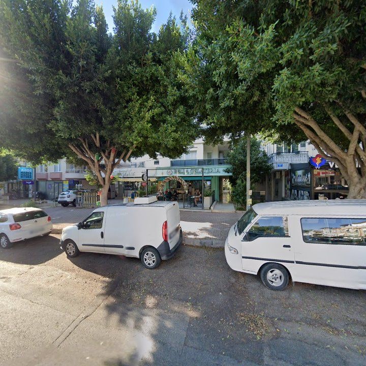 Fotoğraf 9