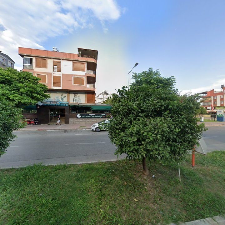 Fotoğraf 10