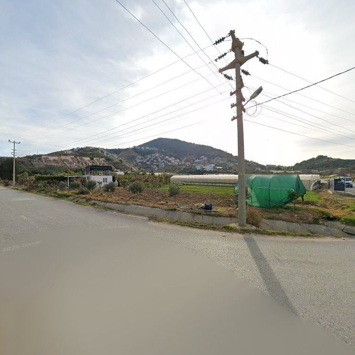 Fotoğraf 11