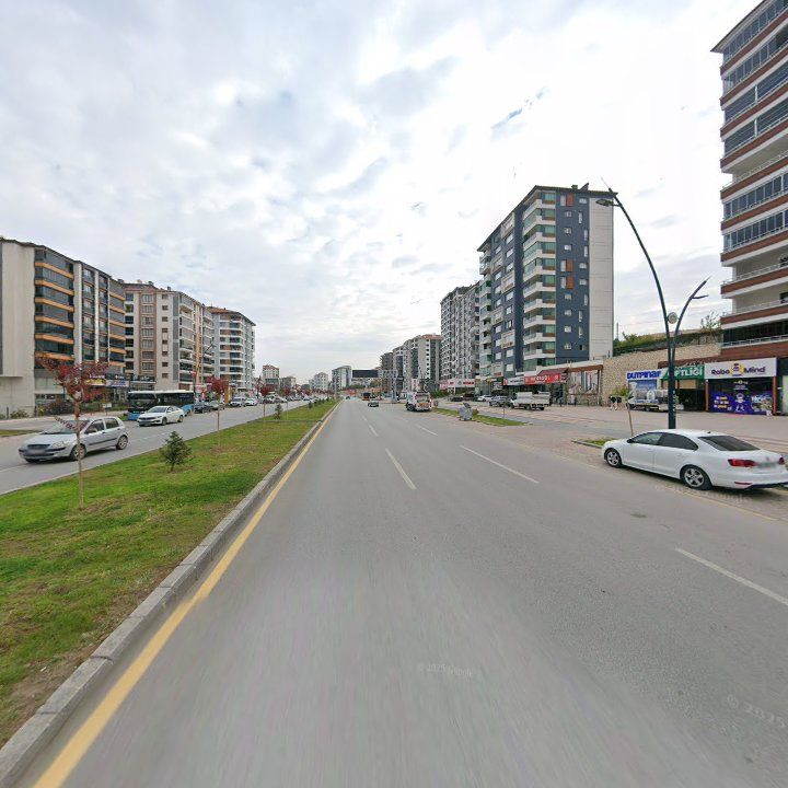 Fotoğraf 9