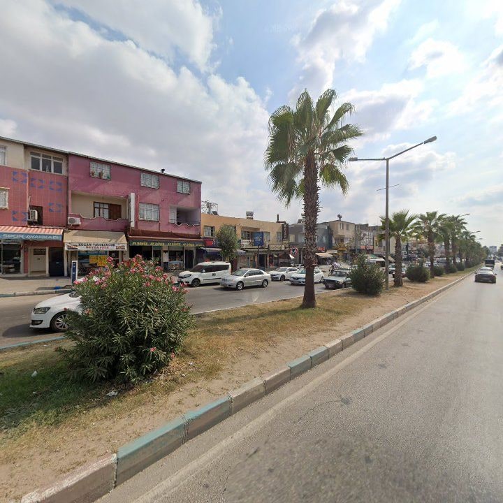 Fotoğraf 9