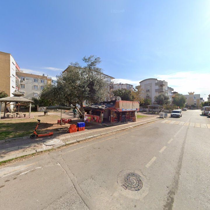 Fotoğraf 3