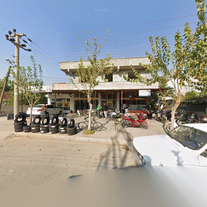 Fotoğraf 3