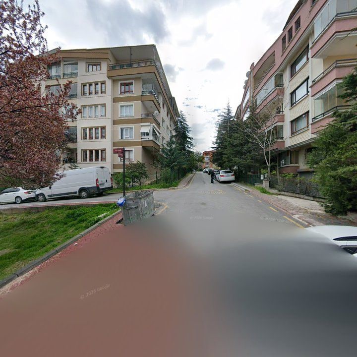 Fotoğraf 13