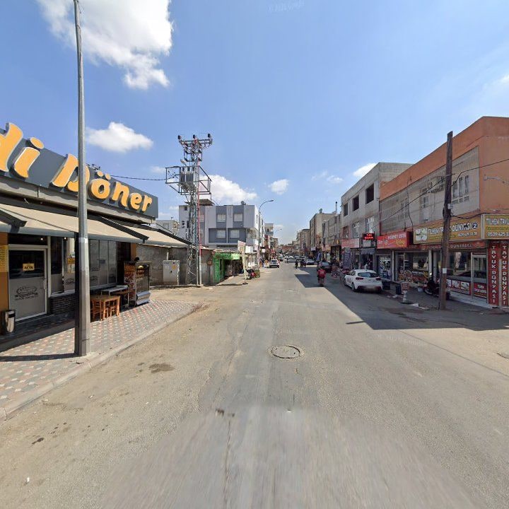 Fotoğraf 3