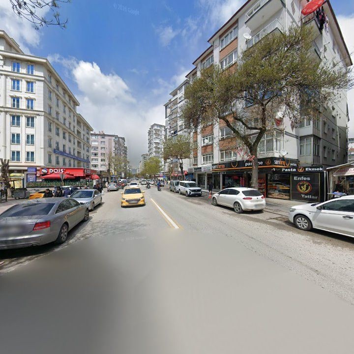 Fotoğraf 8