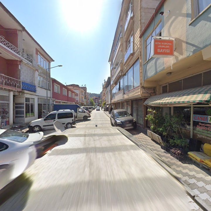 Fotoğraf 3